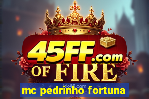 mc pedrinho fortuna